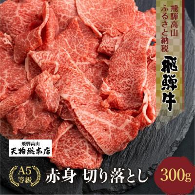 ふるさと納税 高山市 A5等級飛騨牛 赤身 切り落とし 300g