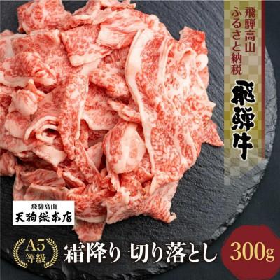 ふるさと納税 高山市 A5等級飛騨牛 霜降り 切り落とし 300g