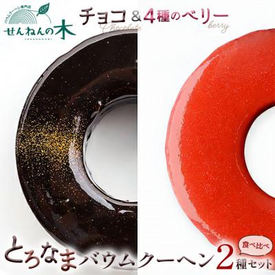ふるさと納税 富津市 とろなまバウムクーヘン「とろなま2種セット(チョコ・4種のベリー)」 せんねんの木 CW-2zz