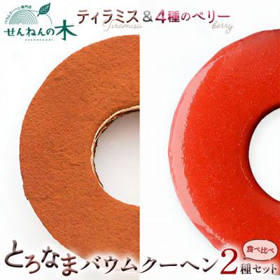 ふるさと納税 富津市 とろなまバウムクーヘン「とろなま2種セット(ティラミス・4種のベリー)」 せんねんの木 CW-4zz