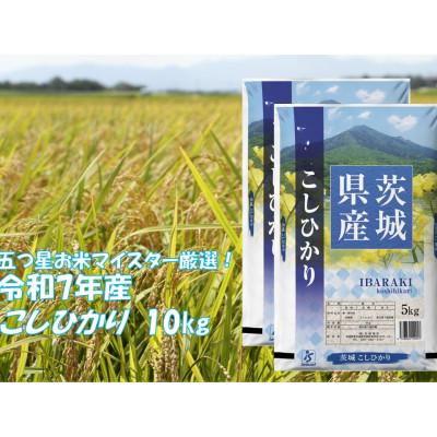 ふるさと納税 茨城町 [令和7年産] こしひかり 10kg 精米 茨城県産 お米 マイスター厳選
