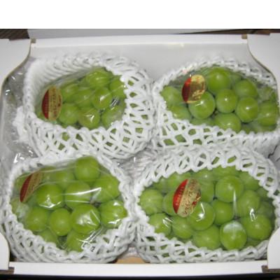 ふるさと納税 高松市 [8月31日(夏休み)までの期間限定!!]シャインマスカット 約1.9kg