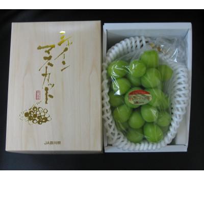 ふるさと納税 三木町 シャインマスカット 1房(約600g以上)化粧箱入り