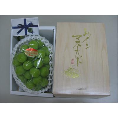 ふるさと納税 三木町 [8月31日(夏休み)までの期間限定!!]シャインマスカット 1房(約620g)化粧箱入り