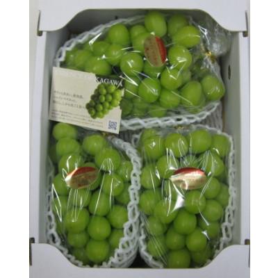 ふるさと納税 三木町 温室シャインマスカット 約2kg