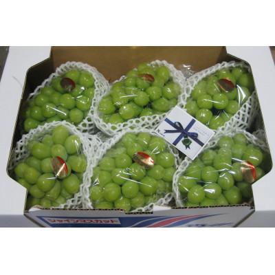 ふるさと納税 三木町 まんでがん満喫!! 温室シャインマスカット 約5kg