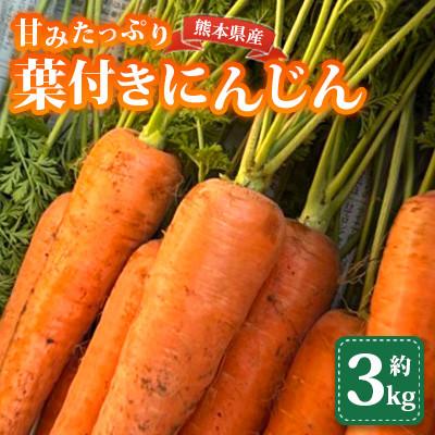 ふるさと納税 山鹿市 葉付き にんじん 約3kg 天日塩&amp;発酵土壌で作ったこだわりの人参[株式会社 夢アグリ]
