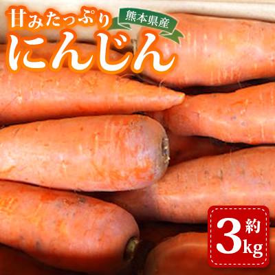 ふるさと納税 山鹿市 にんじん 約3kg 天日塩&amp;発酵土壌で作ったこだわりの人参[株式会社 夢アグリ]