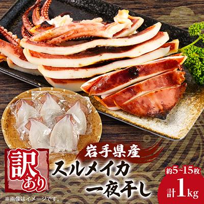 ふるさと納税 宮古市 【訳あり】岩手県宮古市産スルメイカの一夜干し　1kg | 