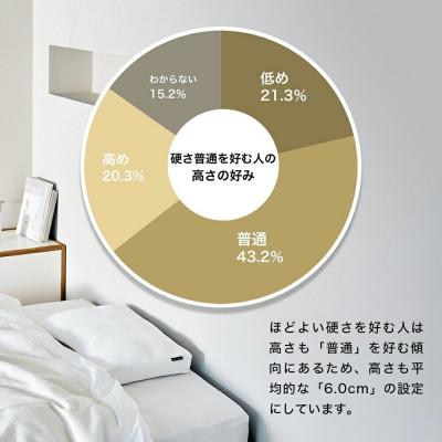 ふるさと納税 我孫子市 程よい硬さの枕を好む人向け枕 THE PILLOW Preset 11 Hodoyoi Katasa_2