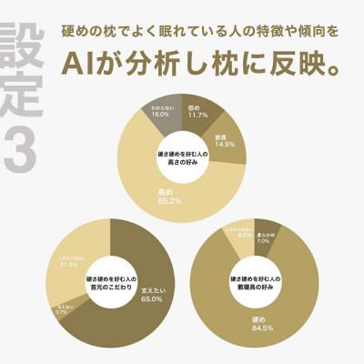 ふるさと納税 我孫子市 硬さ硬めの枕を好む人向け枕 THE PILLOW Preset 12 Katame_3