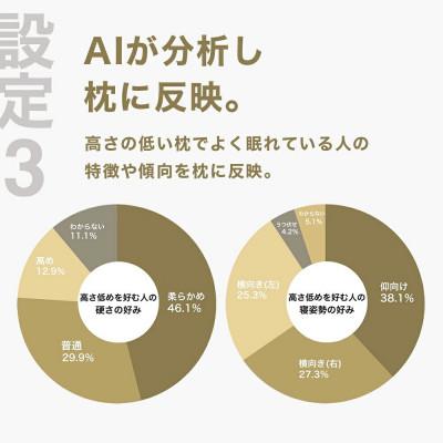 ふるさと納税 我孫子市 低い枕を好む人向け枕 THE PILLOW Preset 13 Hikume_3