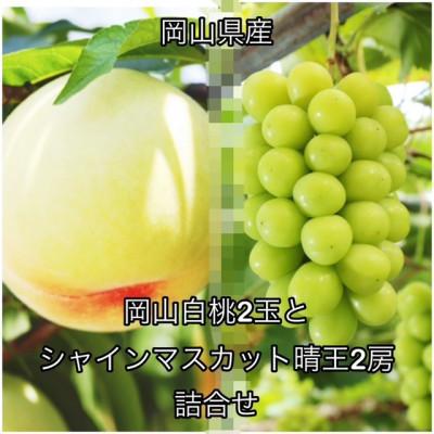 ふるさと納税 美咲町 [2026年発送]岡山県産 岡山白桃 2玉とシャインマスカット『晴王』2房 詰合せ 化粧箱入り