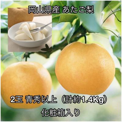 ふるさと納税 美咲町 岡山県産 あたご梨 2玉 青秀以上 (約1.4kg )化粧箱入り