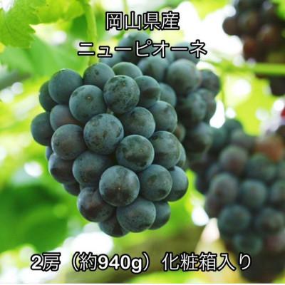 ふるさと納税 井原市 [2026年発送]岡山県産 ニュー ピオーネ 2房 (約940g)化粧箱入り