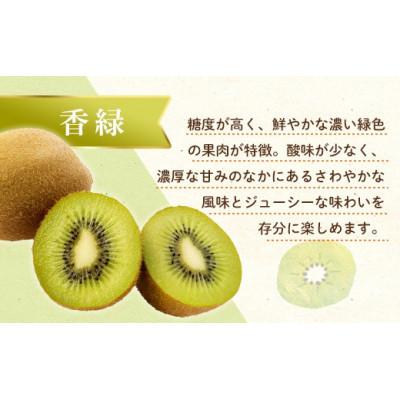 ふるさと納税 高松市 香緑キウイ 約3.0kg