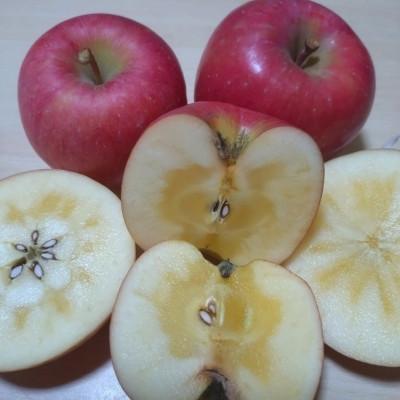 ふるさと納税 南陽市 完熟★蜜入り★ こうとく(高徳)りんご 約1.5〜1.7kg[S2666]