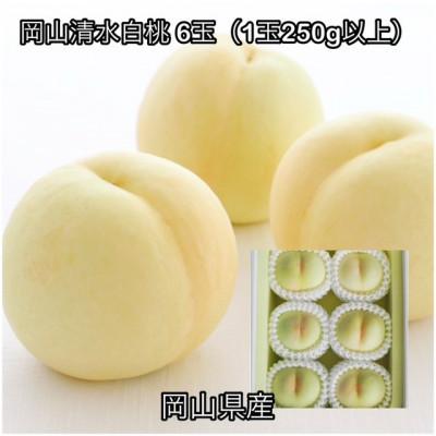 ふるさと納税 高梁市 [2026年発送]岡山県産 岡山清水白桃 6玉(1玉250g以上)化粧箱入り