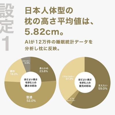 ふるさと納税 我孫子市 ほどよい高さの枕を好む人向け枕 THE PILLOW Preset 14 HodoyoiTakasa_2