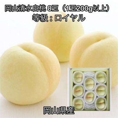 ふるさと納税 高梁市 [2026年発送]岡山県産 岡山清水白桃 8玉(1玉200g以上)ロイヤル 化粧箱入り