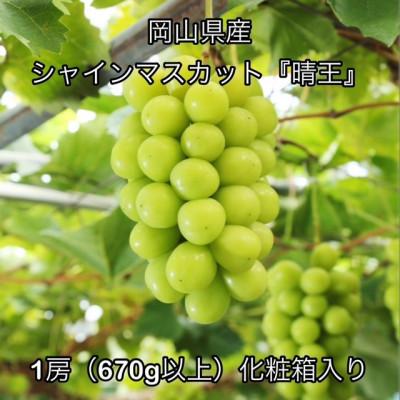 ふるさと納税 高梁市 [2026年発送]岡山県産 シャインマスカット『晴王』1房(670g以上)化粧箱入り