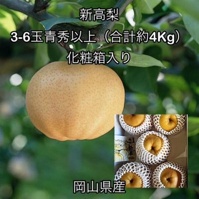 ふるさと納税 高梁市 [2026年発送]岡山県産 新高梨 3〜6玉 青秀以上(約4kg)化粧箱入り