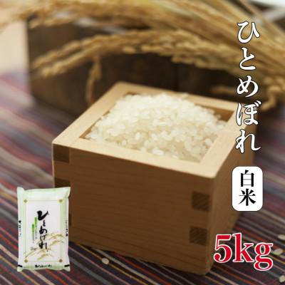 ふるさと納税 酒田市 ひとめぼれ 5kg 精米