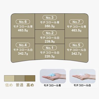 ふるさと納税 我孫子市 30代向けの枕 THE PILLOW Preset 18 30s_2