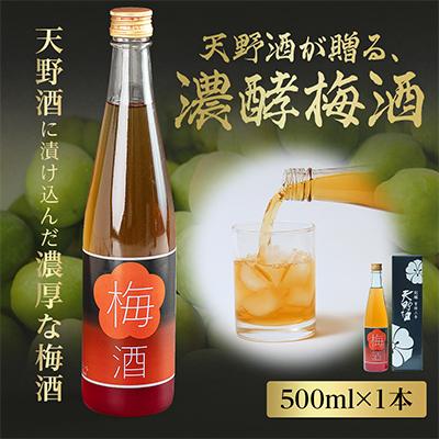 ふるさと納税 河内長野市 梅酒 日本酒仕込みの濃厚梅酒500ml 天野酒 国産梅使用 ギフトにも