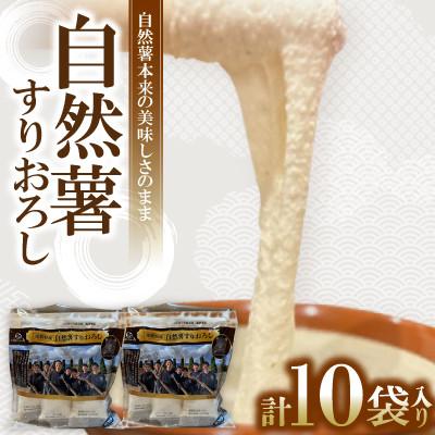 ふるさと納税 草津市 自然薯 すりおろし 冷凍 50g×10パック | 