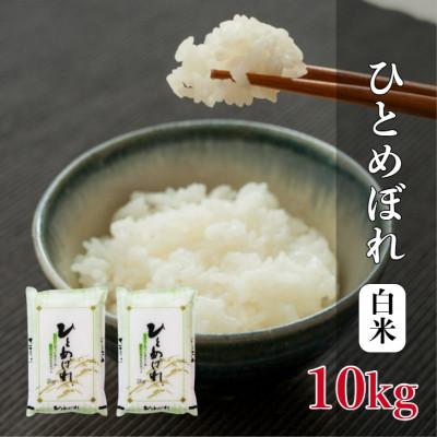 ふるさと納税 酒田市 ひとめぼれ　5kg×2袋　計10kg　精米 | 