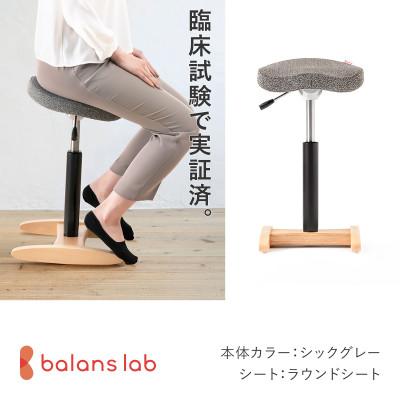 ふるさと納税 美濃市 バランス シナジー ラウンドシート 日本製 [シックグレー]