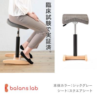 ふるさと納税 美濃市 バランス シナジー スクエアシート 日本製 [シックグレー]