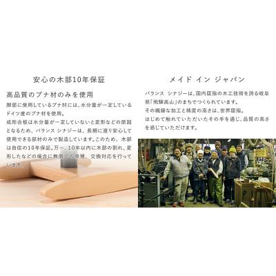 ふるさと納税 美濃市 バランス シナジー スクエアシート(カバー付き