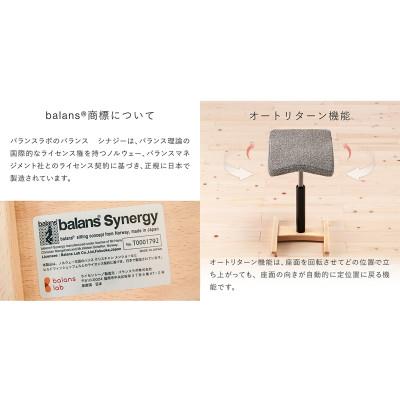 ふるさと納税 美濃市 バランス シナジー スクエアシート(カバー付き