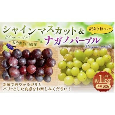 ふるさと納税 竹田市 粒パック訳ありシャインマスカット&amp;ナガノパープル 計1kg(各1パック約500g)