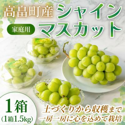 ふるさと納税 高畠町 [産地直送・家庭用]シャインマスカット 約1.5kg 1箱 山形県高畠町産 高糖度