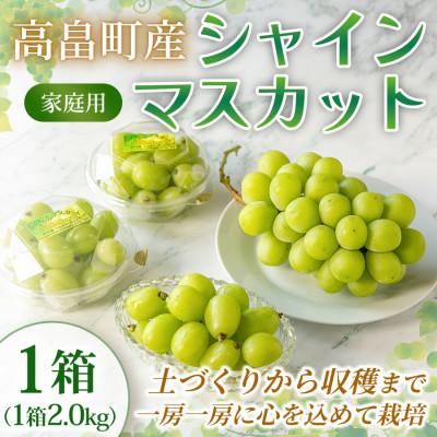 ふるさと納税 高畠町 [産地直送・家庭用]シャインマスカット 約2kg 1箱 山形県高畠町産 高糖度