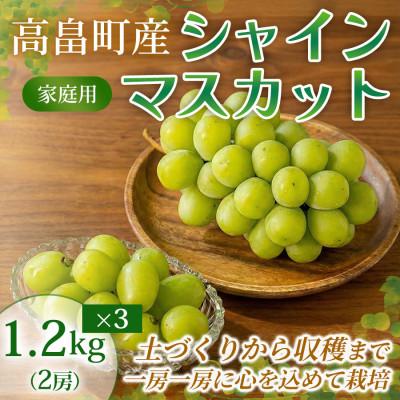 ふるさと納税 高畠町 [産地直送・家庭用]シャインマスカット 約1.2kg×3箱 山形県高畠町産 高糖度
