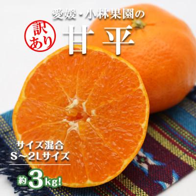 ふるさと納税 八幡浜市 ★訳アリ★ 愛媛・小林果園の甘平(かんぺい)約3キロ[C24-39]