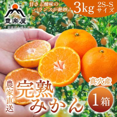 ふるさと納税 八幡浜市 [農家直送でお届け!]果汁たっぷり真穴産みかん 3kg(2S~Sサイズ)[C98-19]