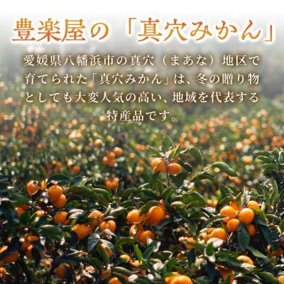 ふるさと納税 八幡浜市 【農家直送でお届け!】果汁たっぷり真穴産