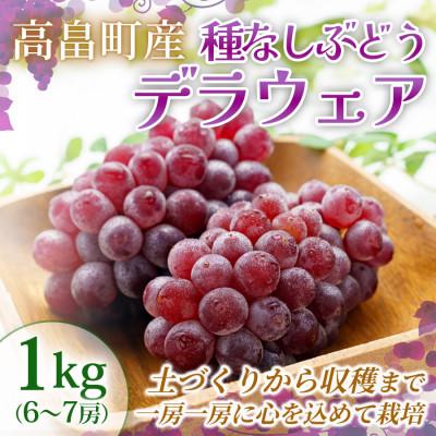 ふるさと納税 高畠町 [産地直送・食べやすい種なし]山形県高畠町産 種なしぶどう デラウェア 約1kg(6〜7房)1箱