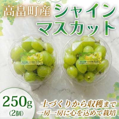 ふるさと納税 高畠町 [産地直送]シャインマスカット 約250g×2個入 山形県高畠町産 高糖度