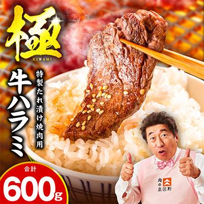 ふるさと納税 泉佐野市 [お試し]牛肉 ハラミ 600g(300g×2P)[氷温熟成×特製ダレ]