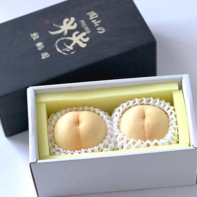 ふるさと納税 浅口市 [2026年発送]岡山 白桃 2玉 雅桃園(贈答用)