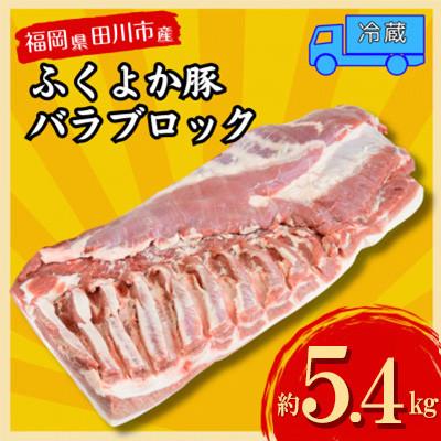 ふるさと納税 田川市 福岡県田川市育ちの[ふくよか豚]豚バラブロック約5.4kg(田川市)