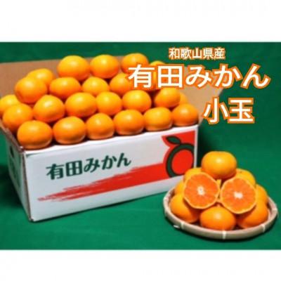 ふるさと納税 印南町 先行受付2026年11月より順次発送[まごころ手選別]有田みかん5kg小玉(3S〜Sサイズ混合)