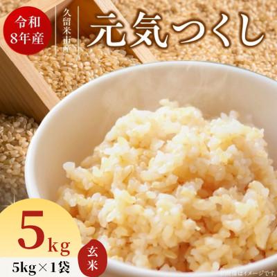 ふるさと納税 久留米市 先行予約[令和8年産]福岡県産ブランド米 元気つくし(玄米) 5kg(久留米市)