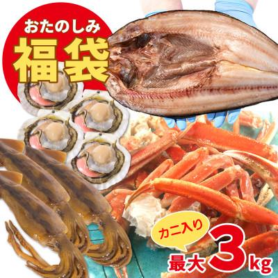 ふるさと納税 鹿部町 北海道の海鮮<おたのしみ福袋> 訳あり 5種 最大3kg SM50-3